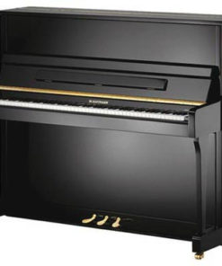 V-120 NEGRO PULIDO
