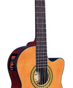 QGC-20CE